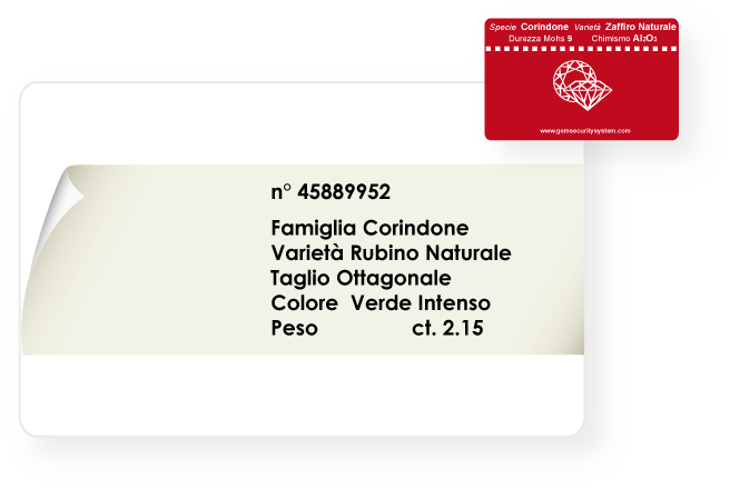 stampa su card B-R label